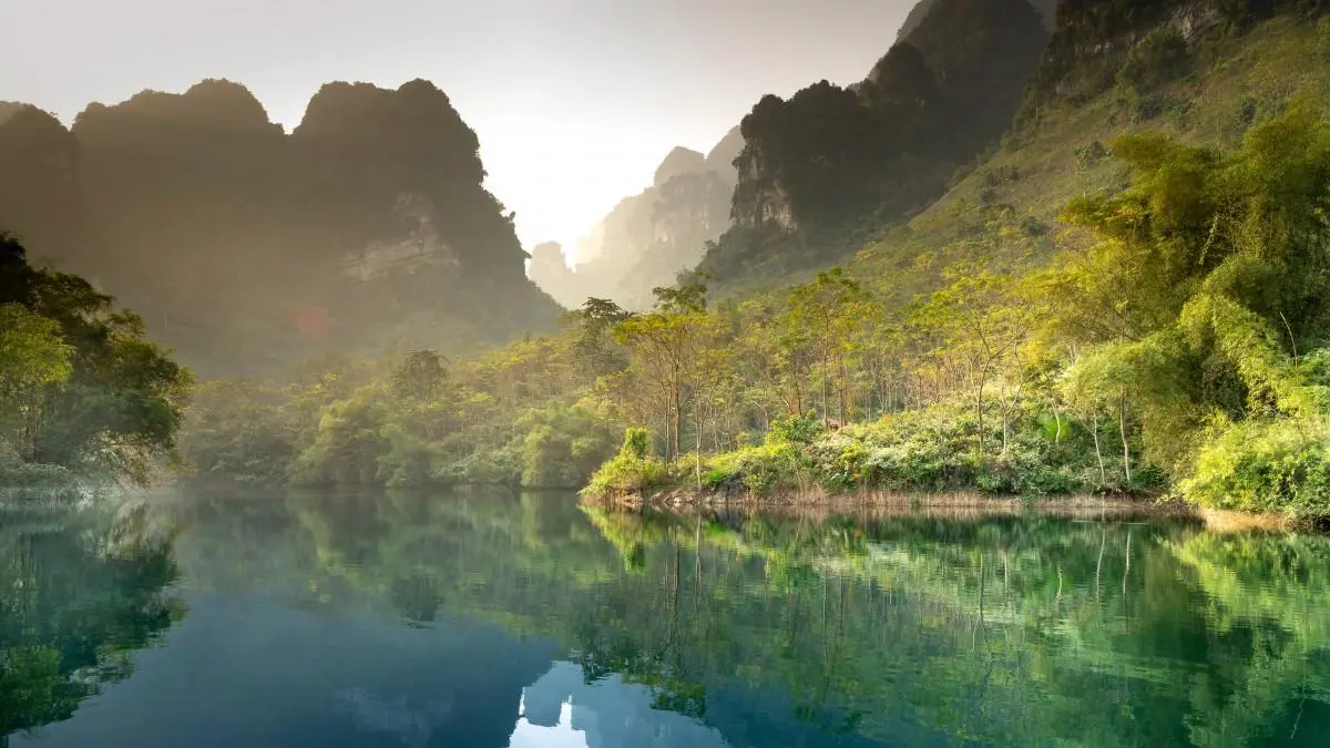 智能智能系统